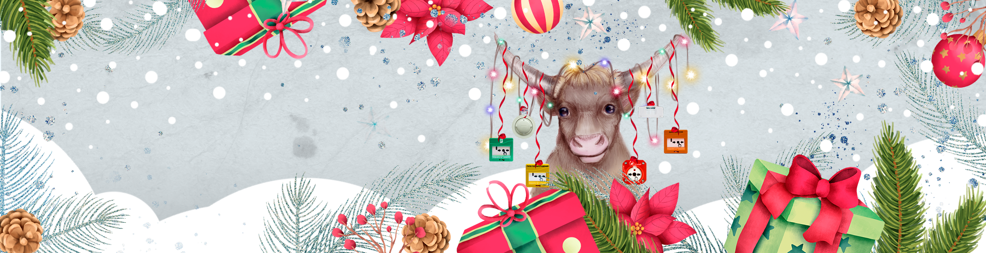 НВП Болид - Системы безопасности